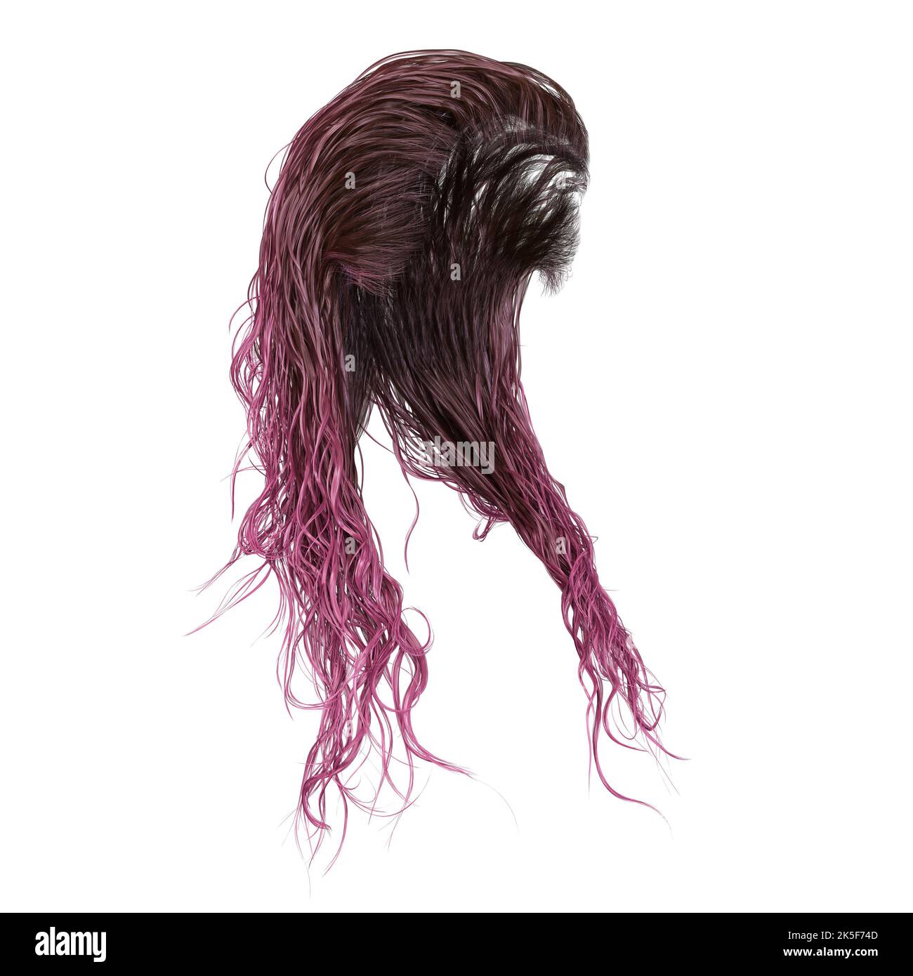 Cheveux humides fantaisie longs sur fond blanc isolé, rendu 3D, illustration 3D Banque D'Images
