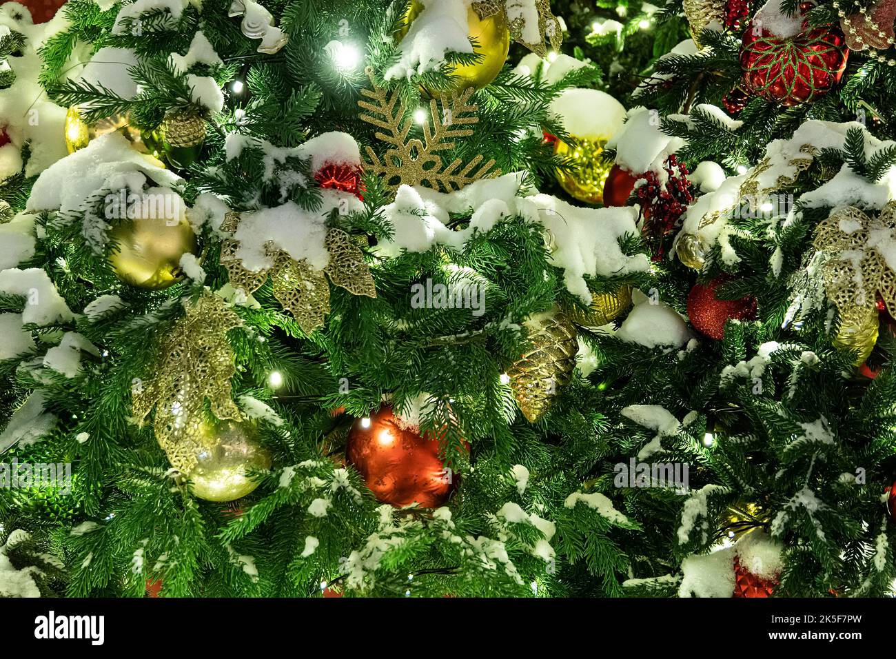 Boules de décoration du nouvel an sur une branche enneigée. Jouet d'arbre de Noël sur les branches d'épinette couvertes de neige. Branches d'épinette couvertes de neige sur le Th Banque D'Images