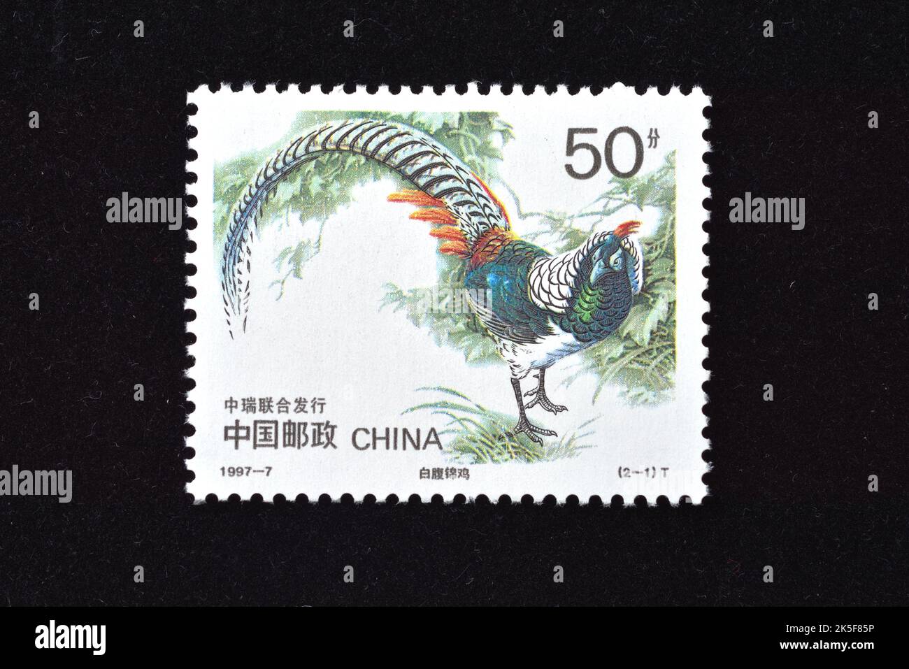 CHINE - VERS 1997 : un timbre imprimé en Chine montre 1997-7, Scott 2763-64 rare Birds Chinese Copper Pheasant Common Pheasant , vers 1997 Banque D'Images