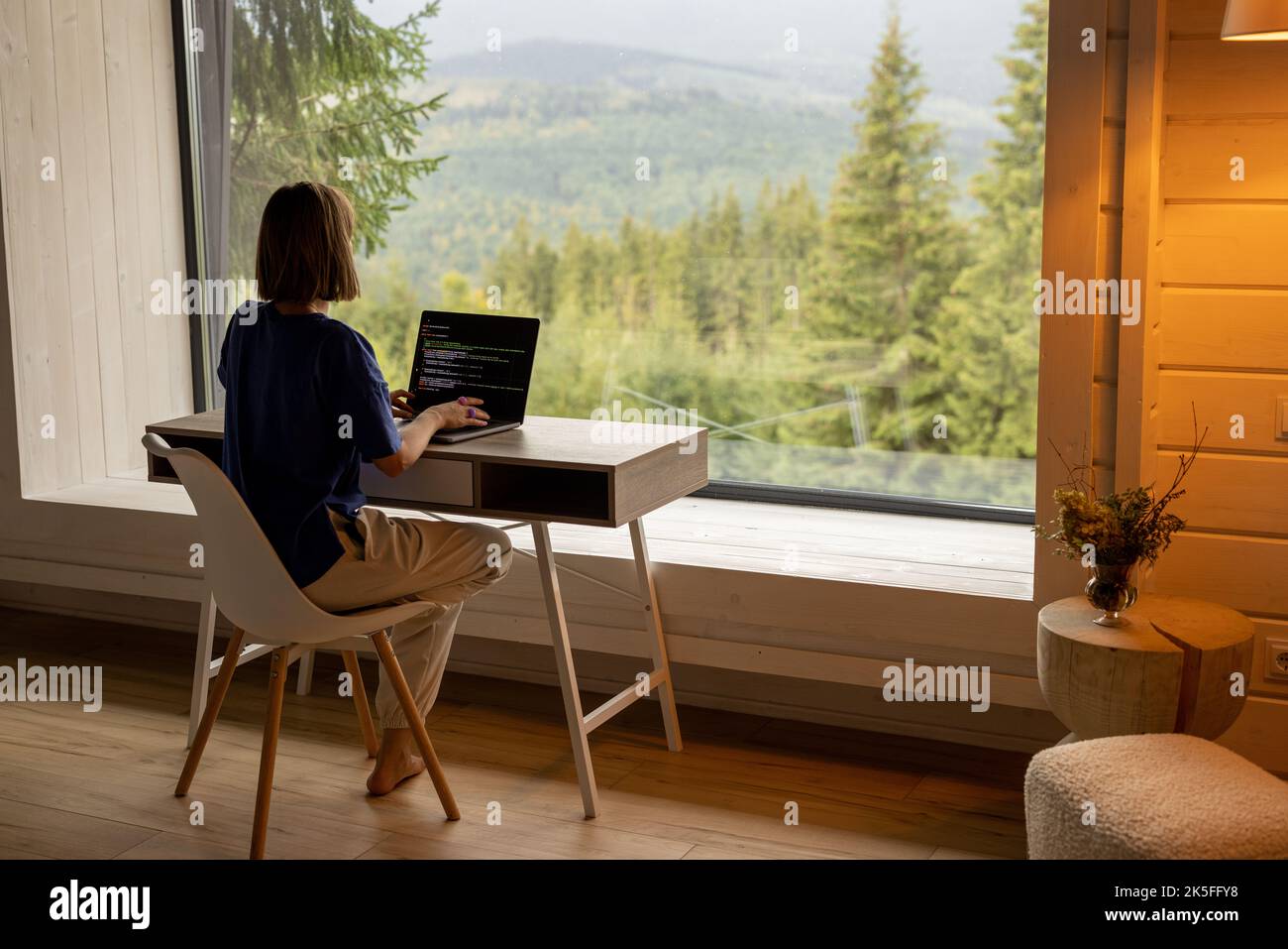 Femme travaille sur ordinateur portable à distance dans la maison sur la nature Banque D'Images