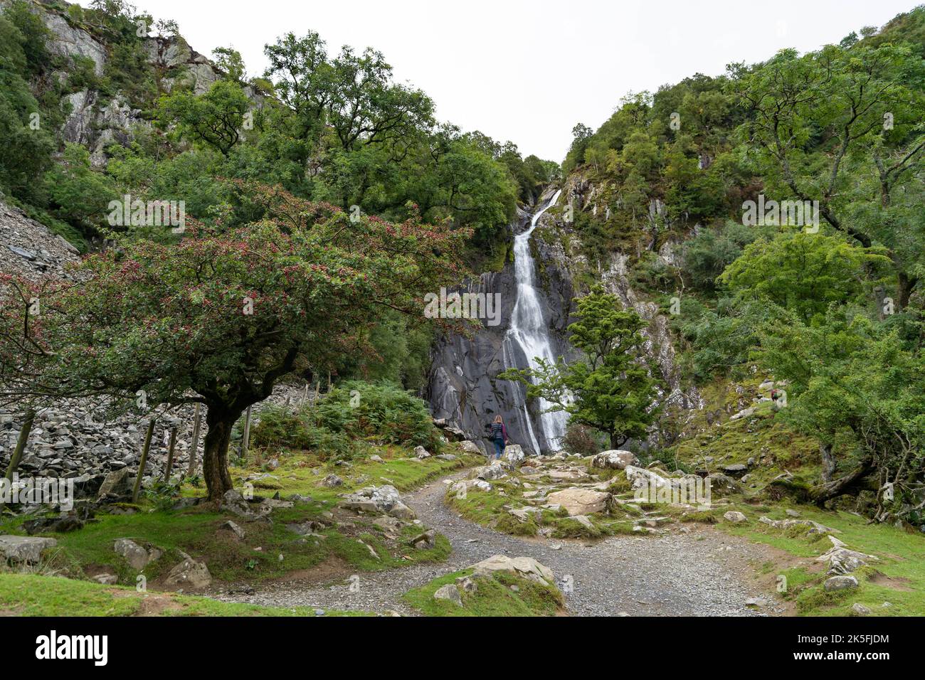 La chute d'eau d'Aber tombe dans les contreforts nord du Carneddau. Afon Goch’s (rivière Rouge). Pays de Galles, Royaume-Uni Banque D'Images