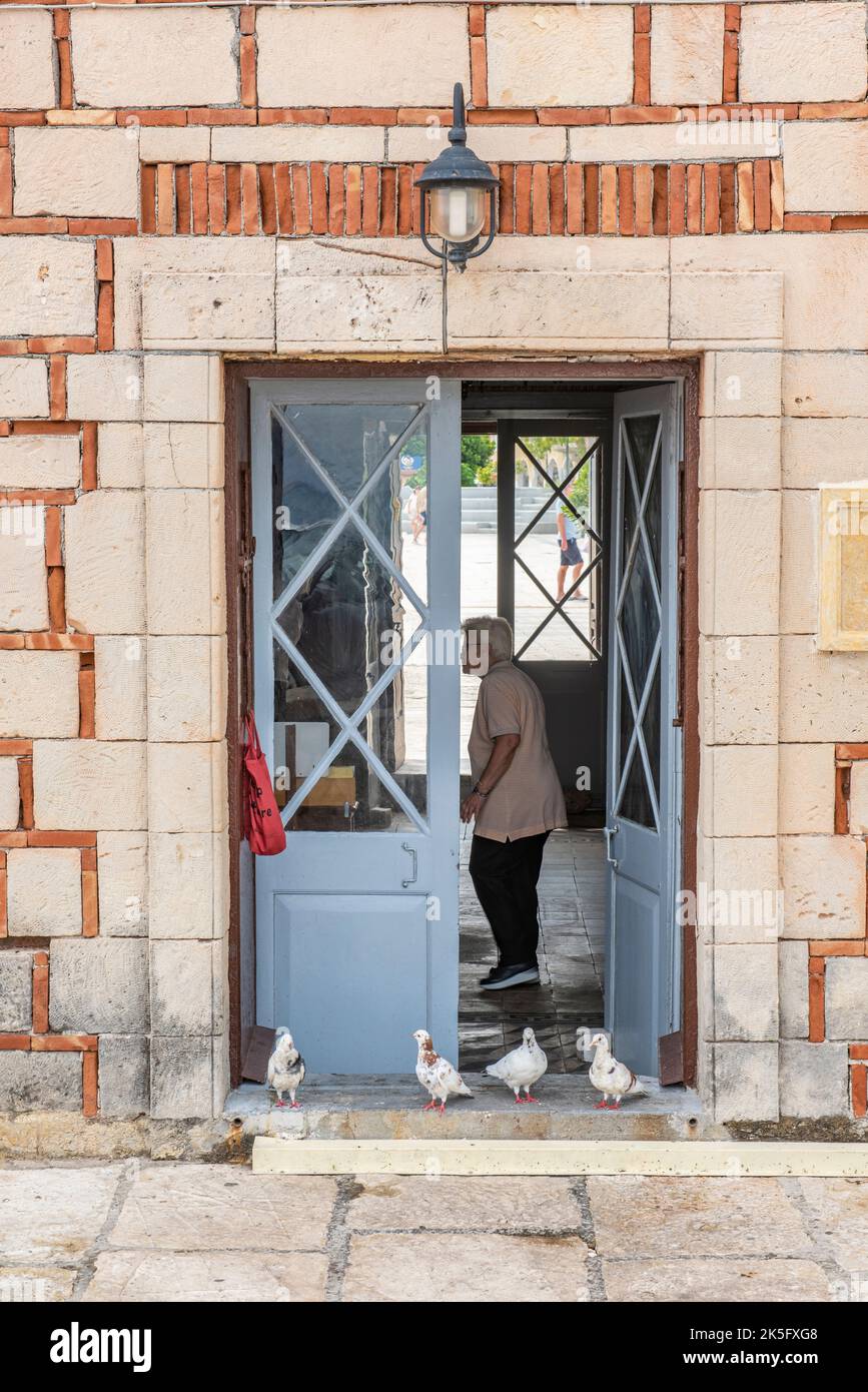 des pigeons assis sur la porte d'une maison grecque avec une dame âgée debout à l'intérieur derrière les portes françaises ouvertes. Banque D'Images