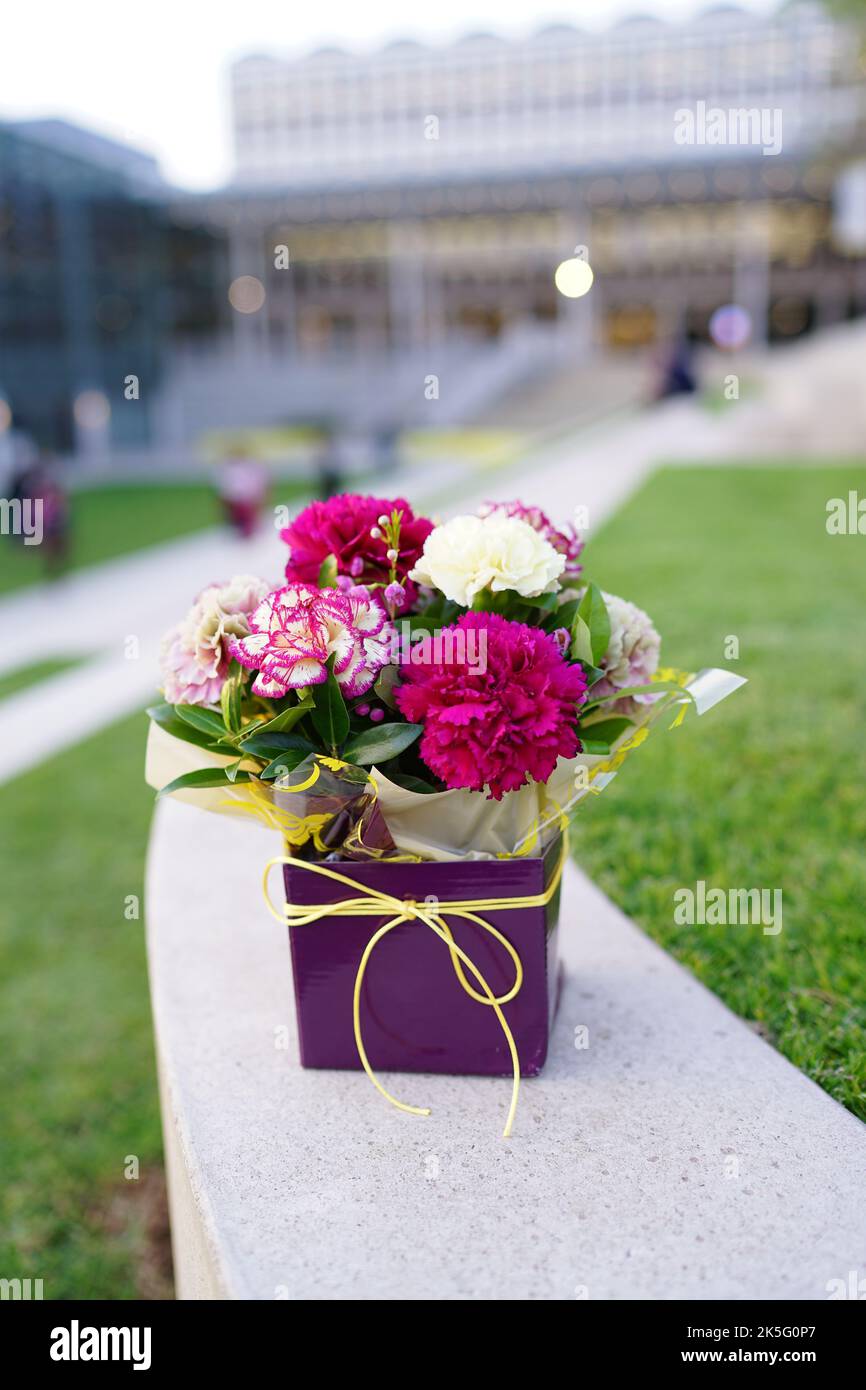 Bouquet de fleurs Banque D'Images
