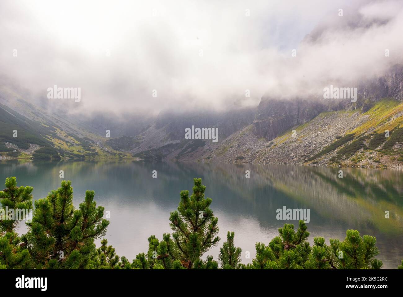 Une vue avec des pins de montagne et des cônes de pin dans les Tatras polonais avec un très beau lac clair Banque D'Images
