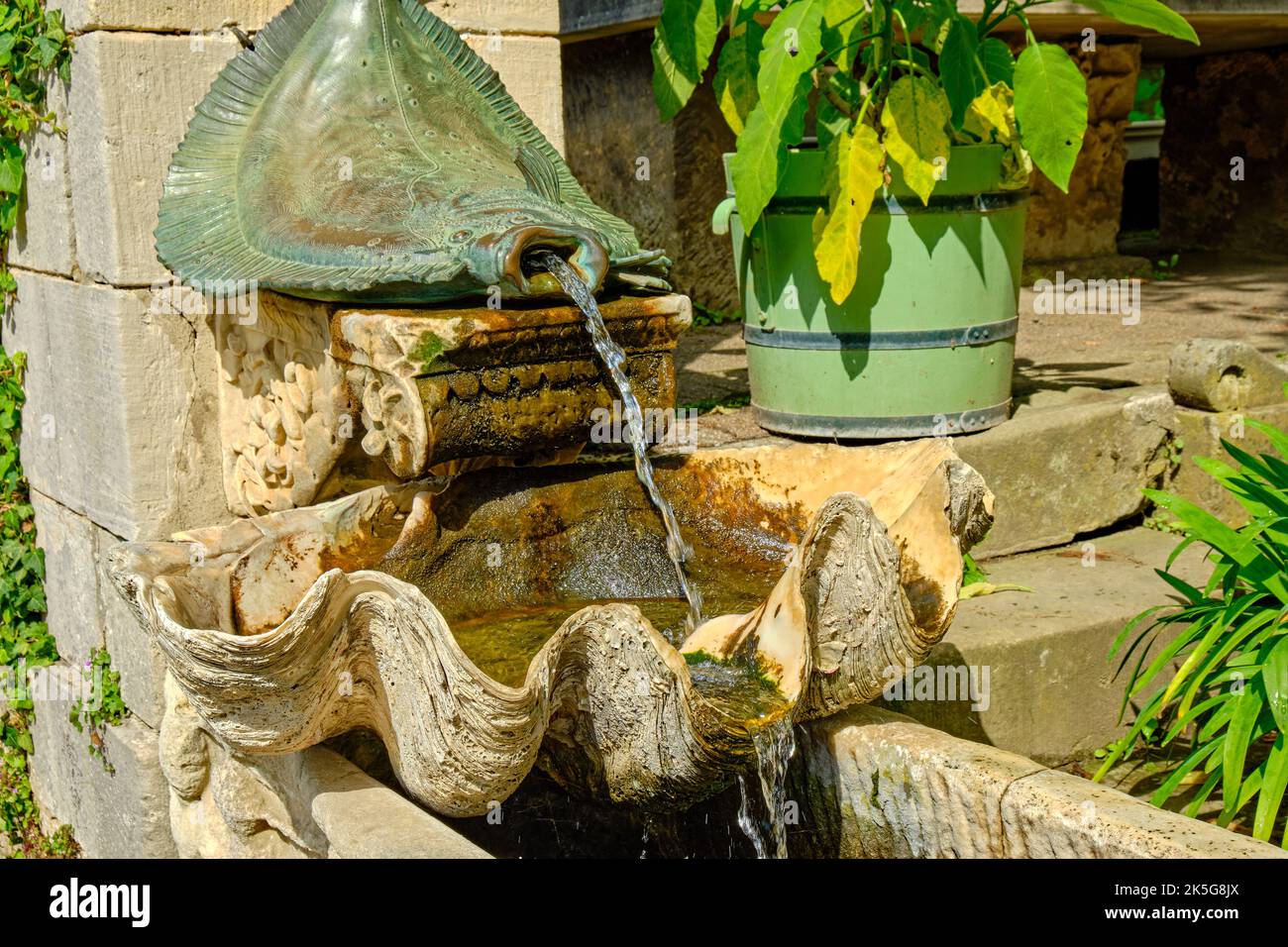 Écaille de poisson plat et coquillage, détail fontaine, bains romains dans le parc de Sanssouci, Potsdam, Brandebourg, Allemagne. Banque D'Images