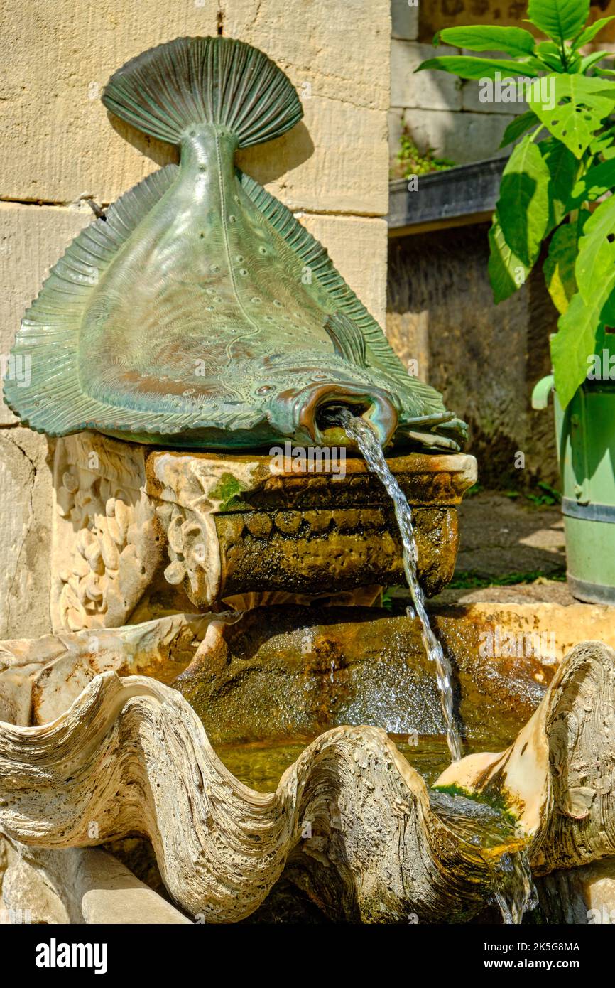 Écaille de poisson plat et coquillage, détail fontaine, bains romains dans le parc de Sanssouci, Potsdam, Brandebourg, Allemagne. Banque D'Images