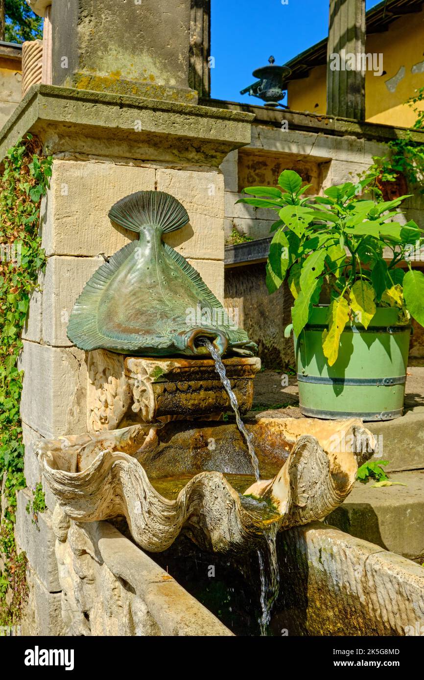 Écaille de poisson plat et coquillage, détail fontaine, bains romains dans le parc de Sanssouci, Potsdam, Brandebourg, Allemagne. Banque D'Images