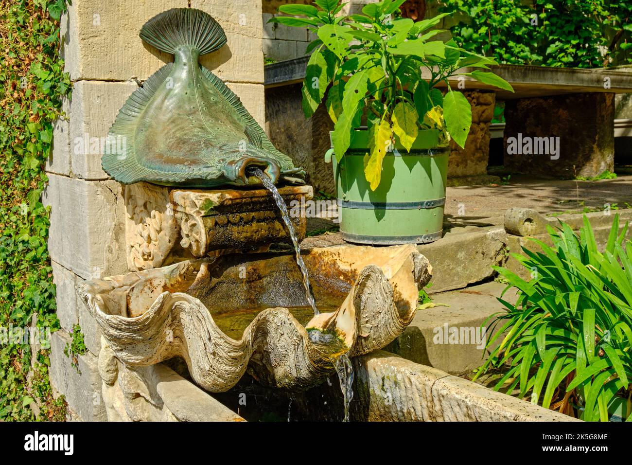 Écaille de poisson plat et coquillage, détail fontaine, bains romains dans le parc de Sanssouci, Potsdam, Brandebourg, Allemagne. Banque D'Images