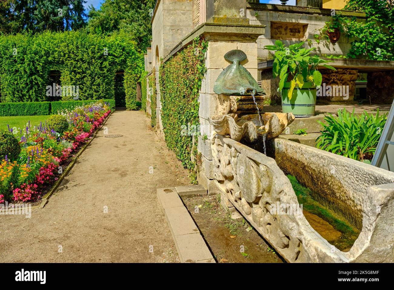 Écaille de poisson plat et coquillage, détail fontaine, bains romains dans le parc de Sanssouci, Potsdam, Brandebourg, Allemagne. Banque D'Images