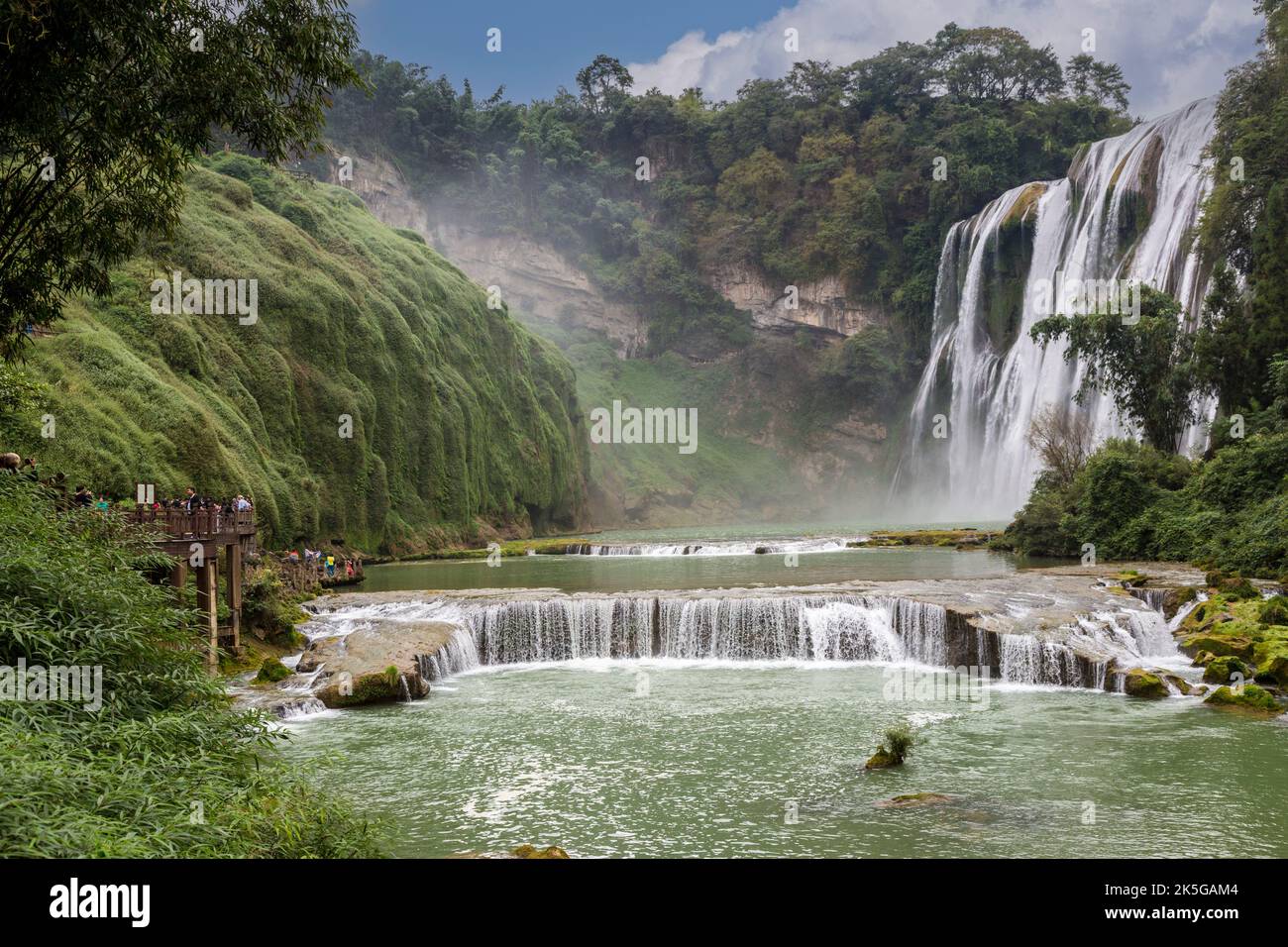 La province du Guizhou, en Chine. Les fruits jaunes (arbre) Huangguoshu Waterfall Scenic Area. Banque D'Images
