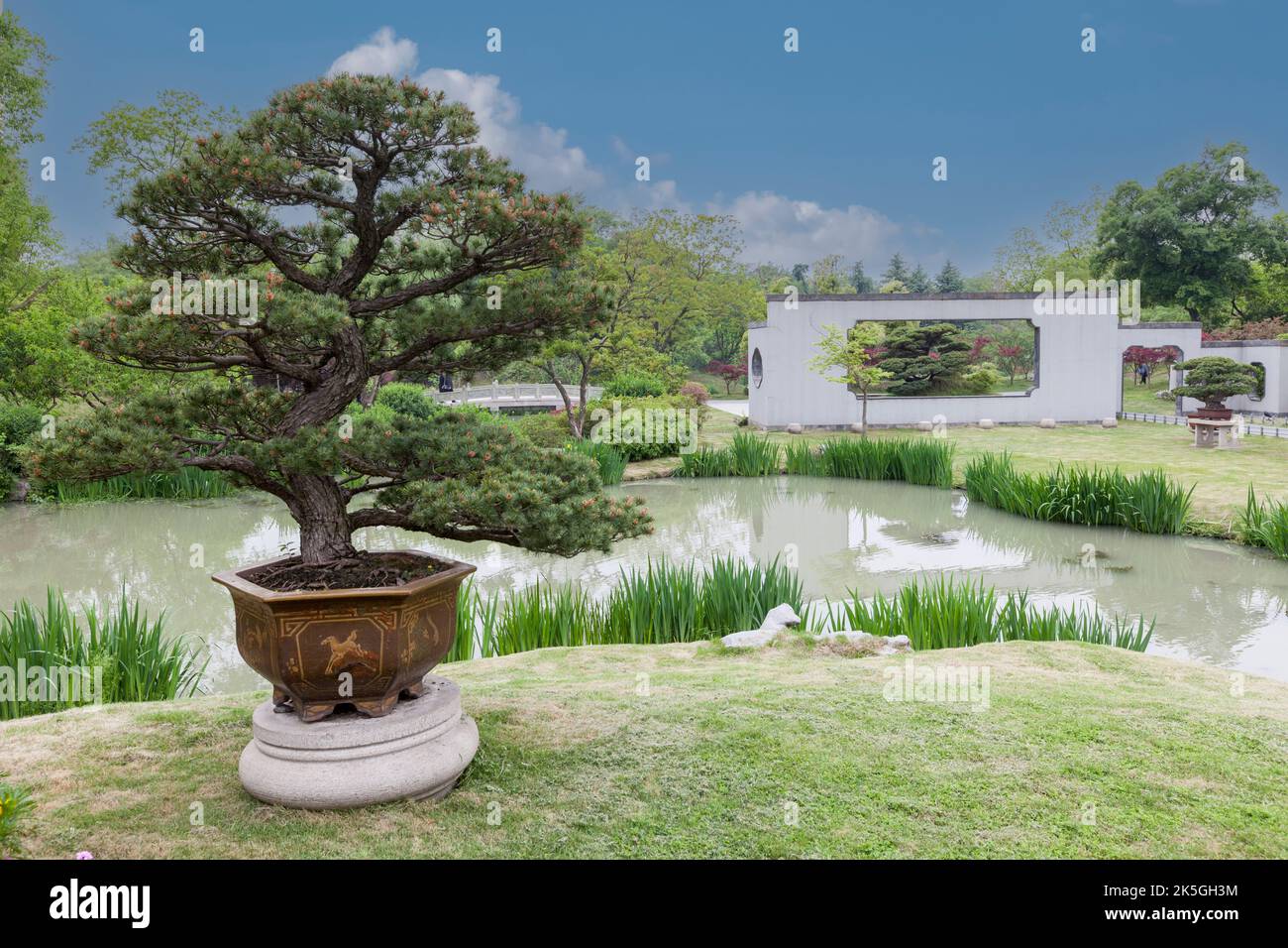 Yangzhou, Jiangsu, Chine. Bonsai, Bonsai Garden, Slender West Lake Park. Banque D'Images