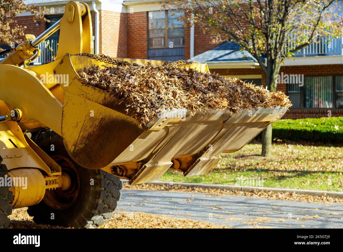 À l'automne, les employés municipaux utilisent des pelles hydrauliques et des camions pour retirer les feuilles mortes des maisons voisines, à l'aide d'une pelle hydraulique Banque D'Images