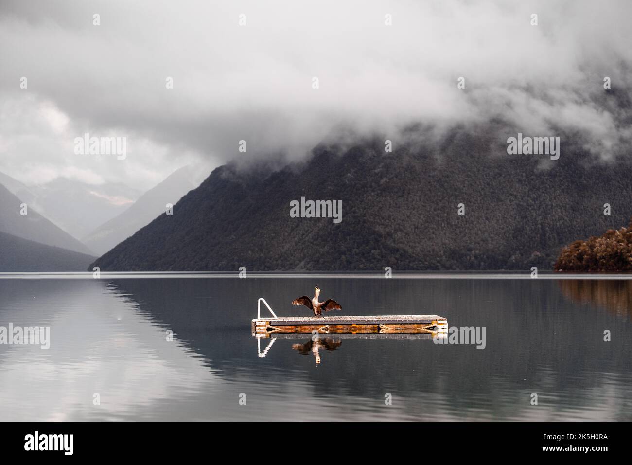 paysage naturel avec un grand oiseau avec des ailes ouvertes au-dessus de la plate-forme en bois dans l'eau calme du lac parmi les montagnes vertes cachées entre le Banque D'Images
