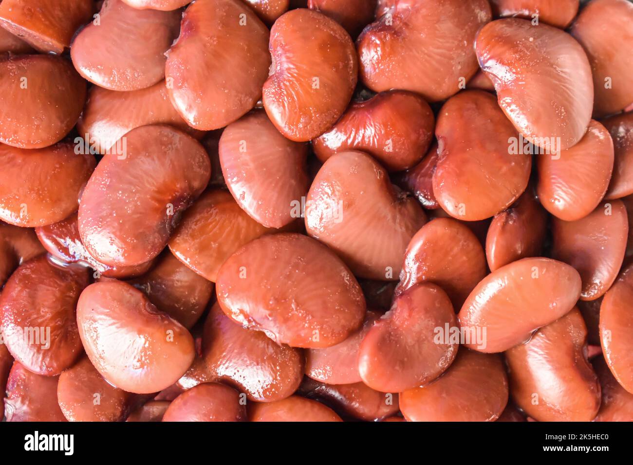 Haricots rouges plats. Aliments riches en protéines. Une alimentation saine. Vue en gros plan. Banque D'Images