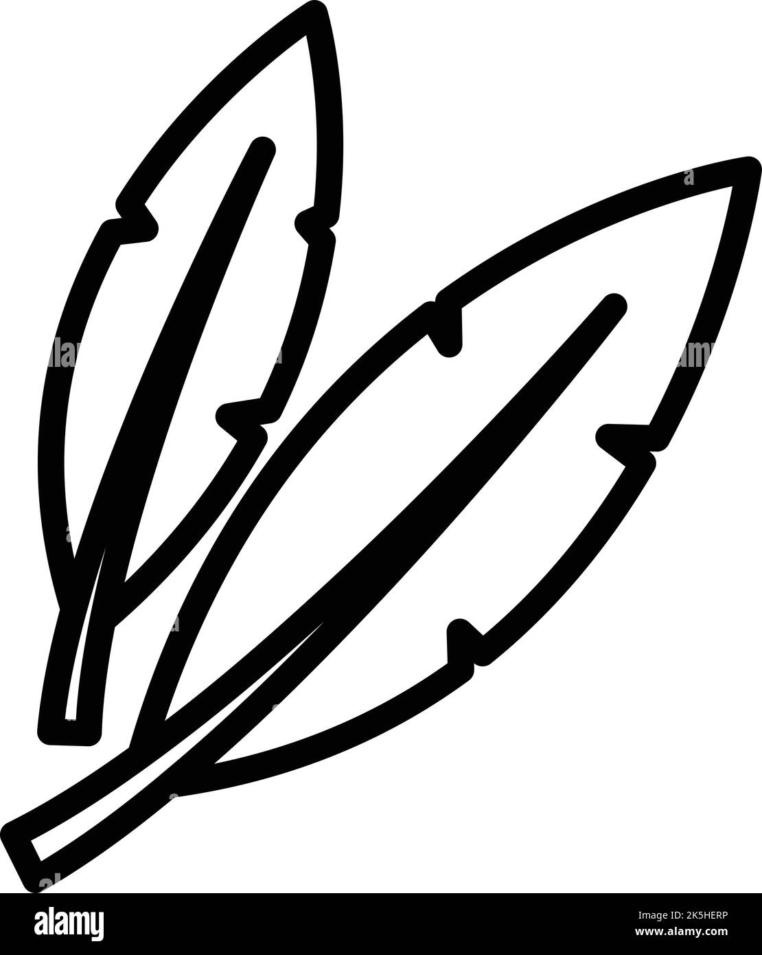 Vecteur de contour d'icône de plume indienne. Inde. Architecture de Calcutta Illustration de Vecteur