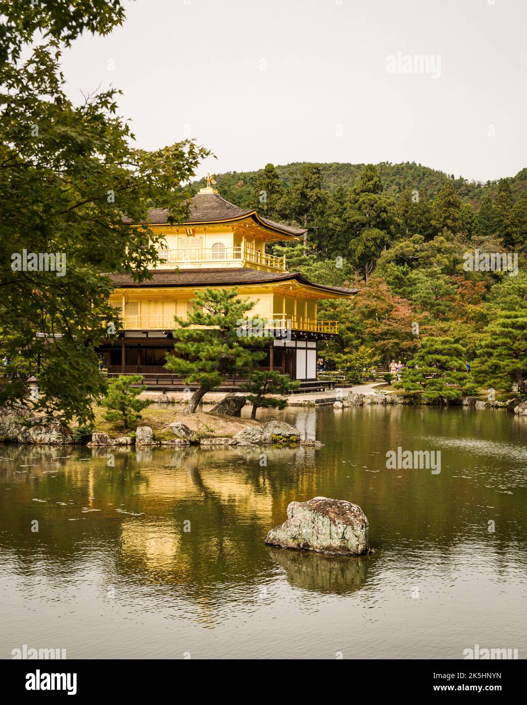 Le Temple d'Or, Kinkaku-ji, à Kyoto, au Japon. Banque D'Images