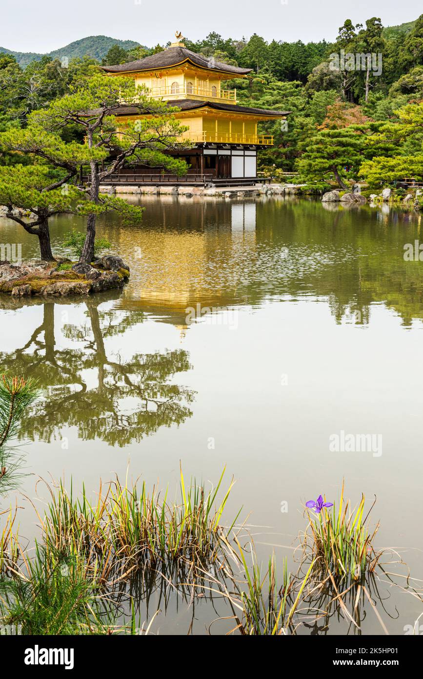 Le Temple d'Or, Kinkaku-ji, à Kyoto, au Japon. Banque D'Images