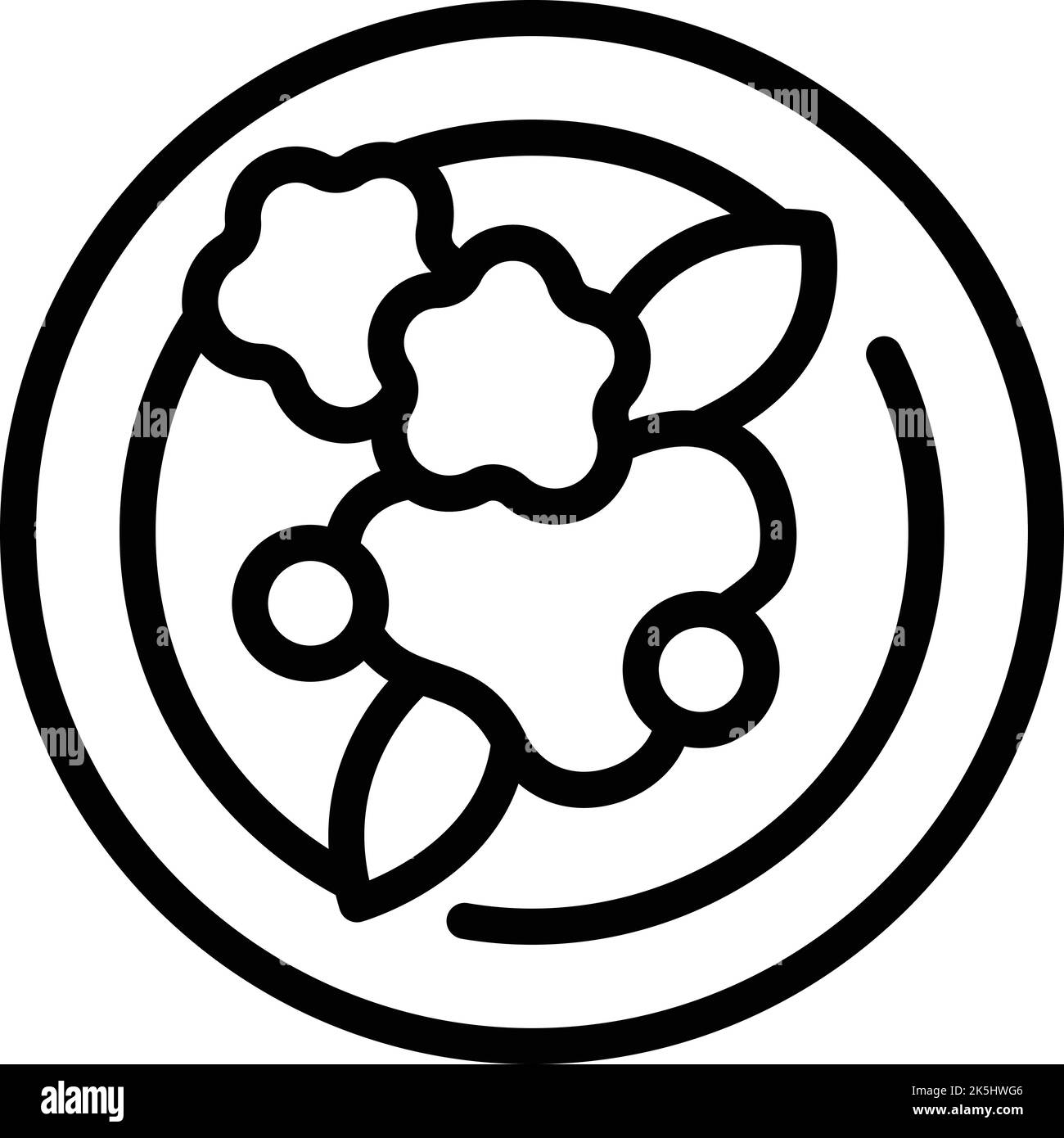 Vue de dessus du vecteur de contour de l'icône de salade. Nourriture Paleo. Régime de salade Illustration de Vecteur