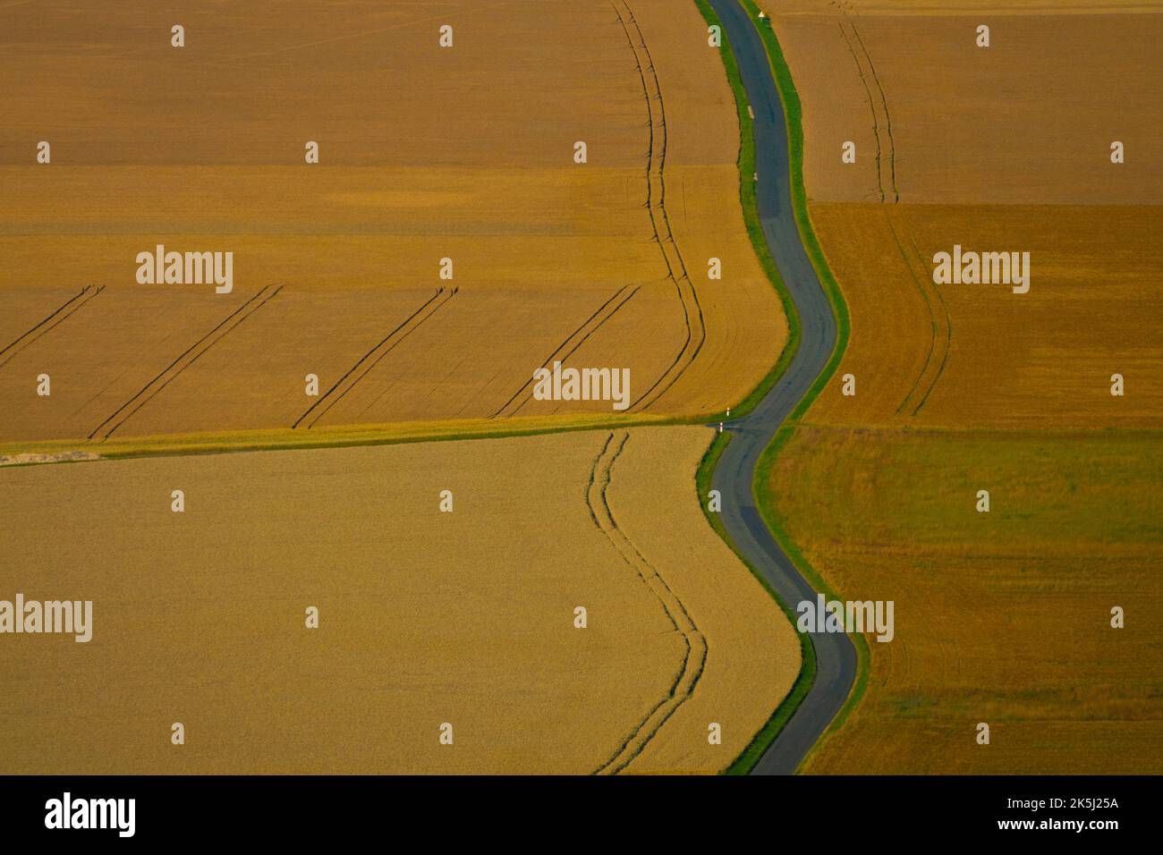 France, Essonne (91), Monnerville, vue aérienne d'une route de campagne dans la plaine céréalière de la Beauce avant la récolte Banque D'Images