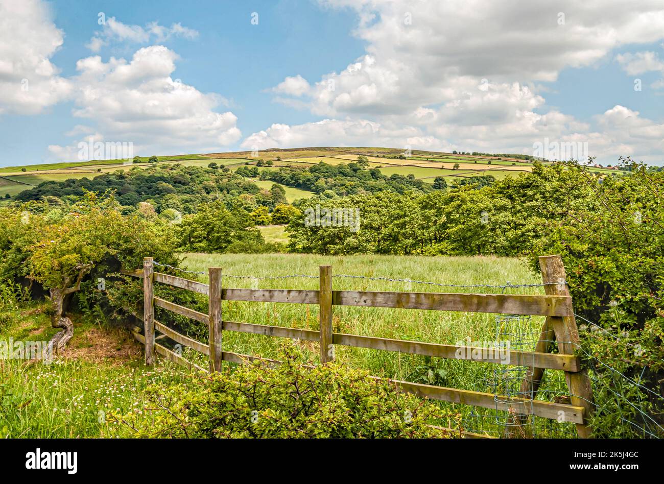 Paysage pittoresque aux North York Moors ou North Yorkshire Moors dans le North Yorkshire, Angleterre Banque D'Images