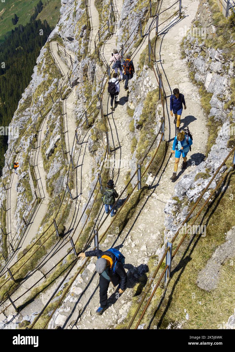 Randonnée sur un chemin pavé sur les Wendelstein, Bayrischzell, Mangfall Mountains, haute-Bavière, Allemagne Banque D'Images