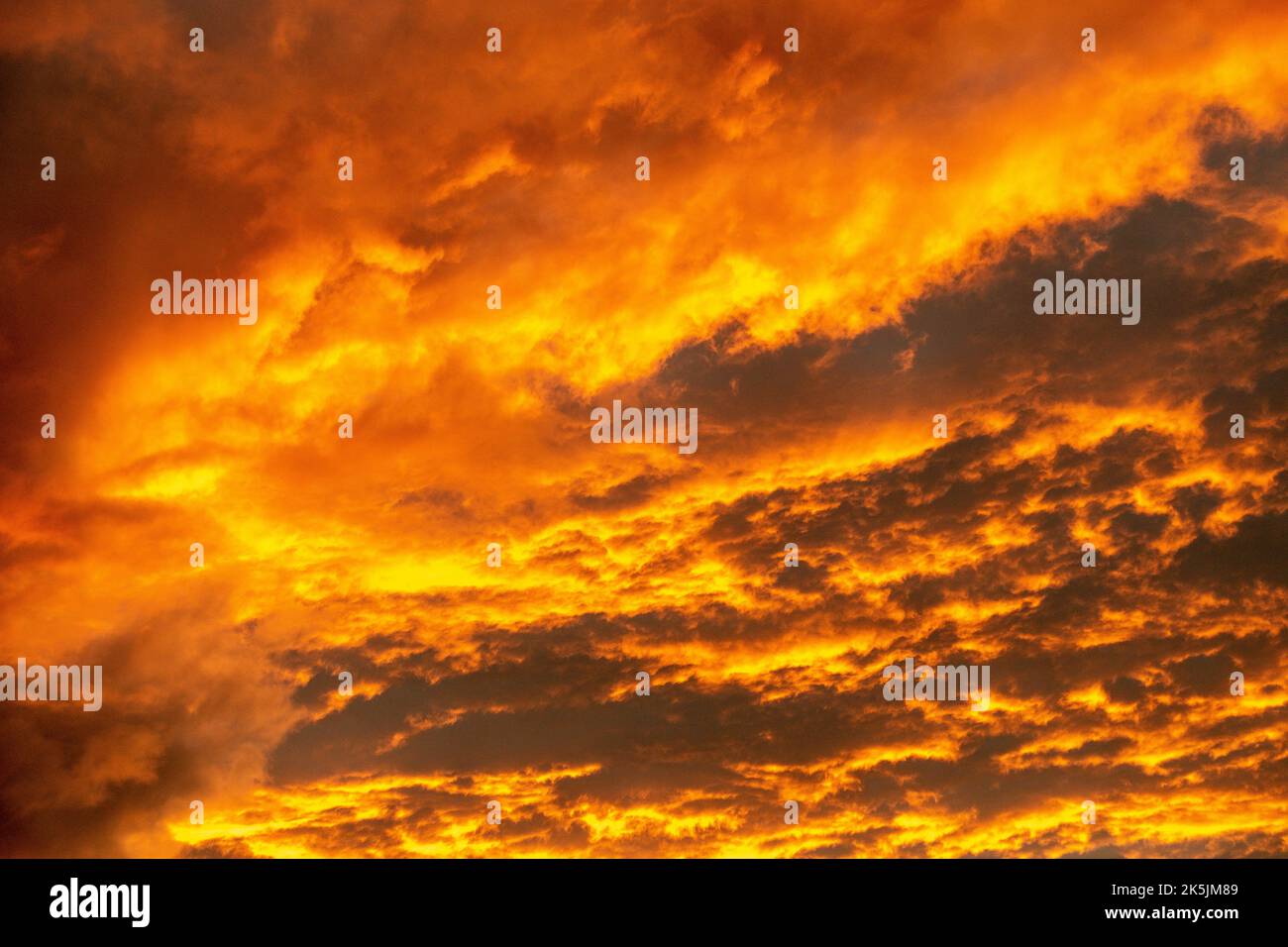 Vif, automne, coucher de soleil, Rouge, nuages, ciel sur feu Banque D'Images