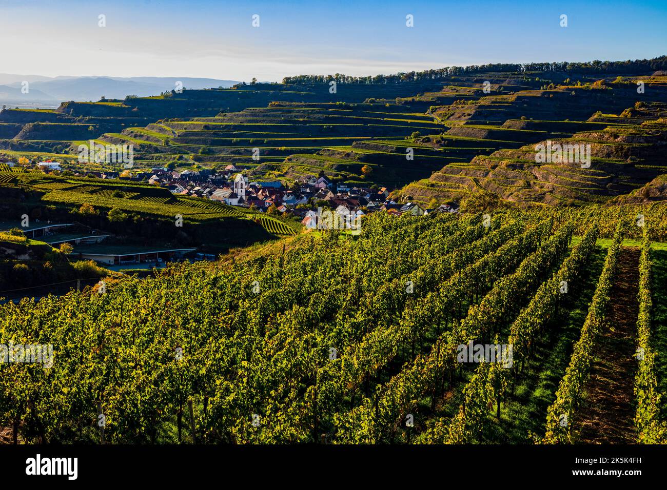 Blick über die Weinberge nach Oberbergen im Kaiserstuhl Banque D'Images