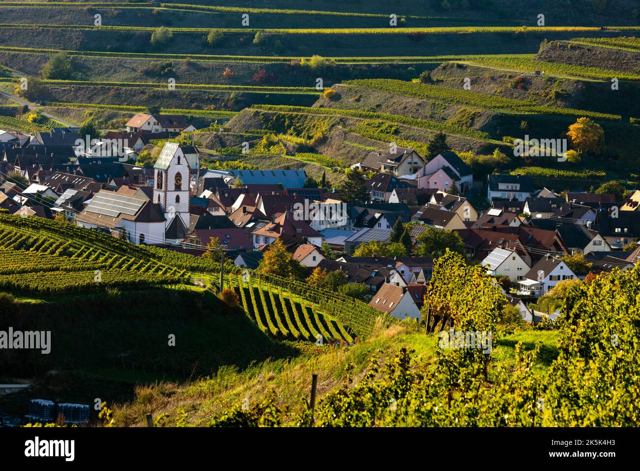 Blick über die Weinberge nach Oberbergen im Kaiserstuhl Banque D'Images