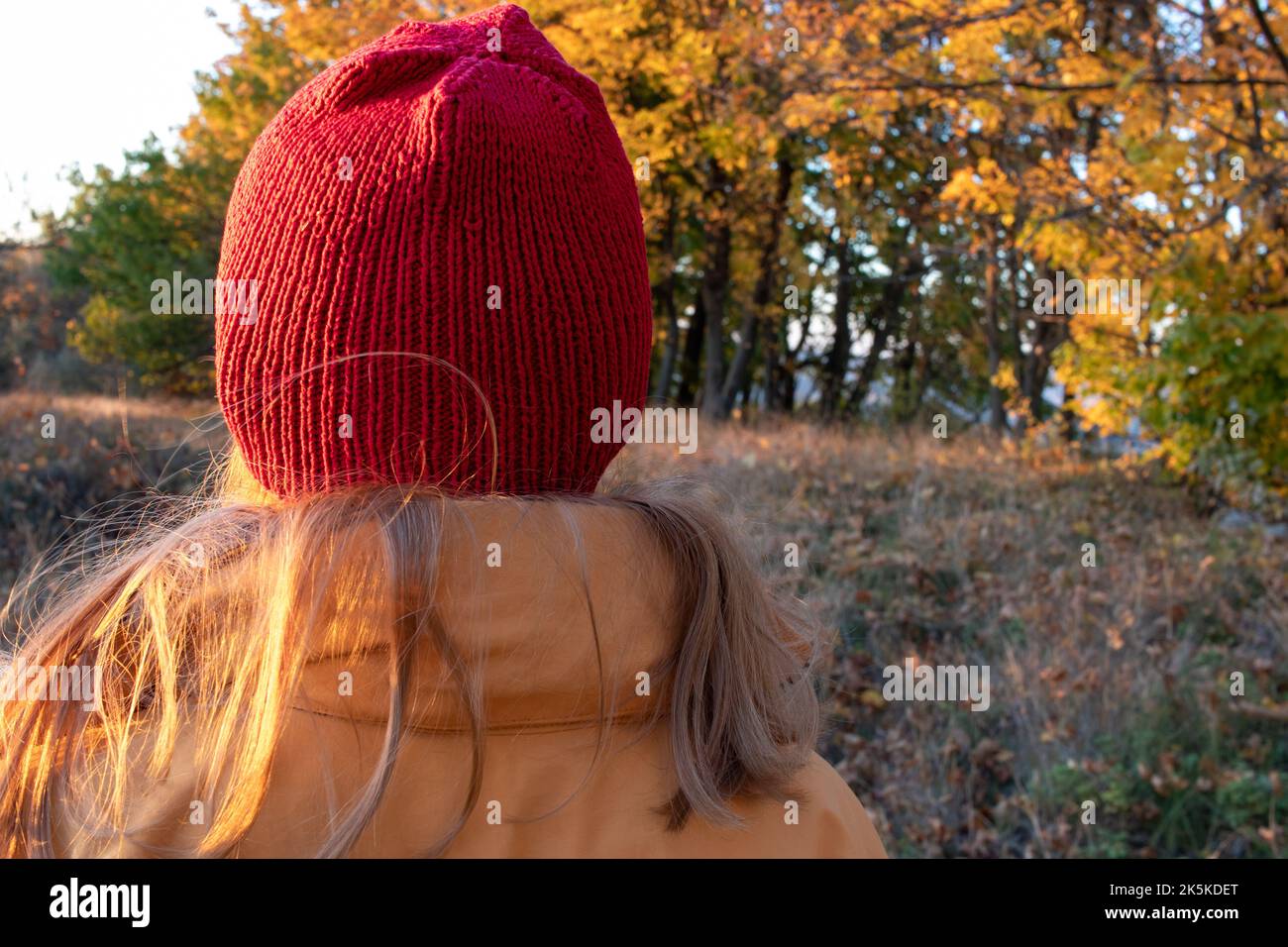 Jeune femme aux longs cheveux blonds dans un chapeau rouge et un manteau jaune marchant dans le parc d'automne. Vue arrière. Couleurs automnales vives. Temps ensoleillé. Profitez de la vie Banque D'Images
