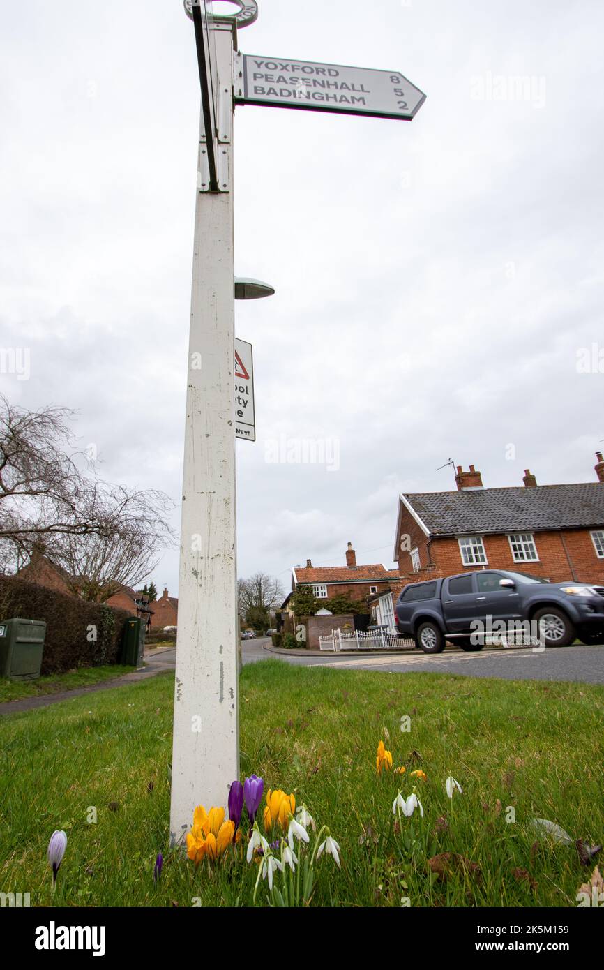 Signe de printemps avec des crocus et des gouttes de neige qui poussent sur une bordure d'herbe dans le Suffolk de Dennington Banque D'Images