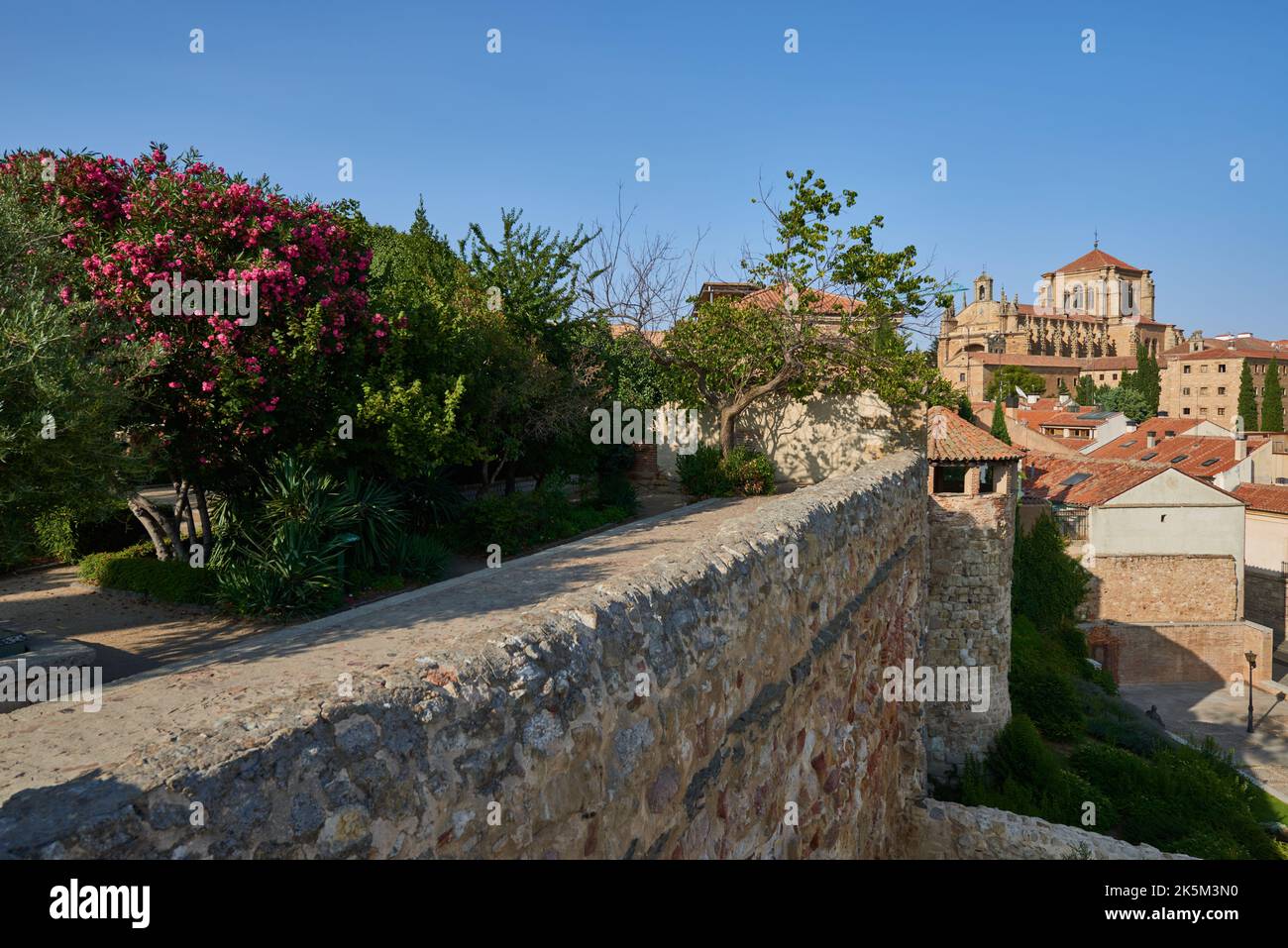Convento de San Esteban vue de l'Orchard de Calixto et du parc Melibea, Salamanca City, Espagne, Europe. Banque D'Images