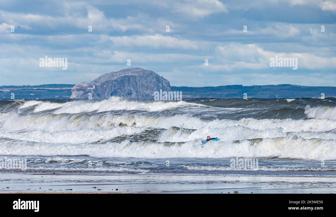 Surfeur dans le Firth of Forth lors d'une journée venteuse avec de grandes vagues avec l'île Bass Rock au loin, en Écosse, au Royaume-Uni Banque D'Images