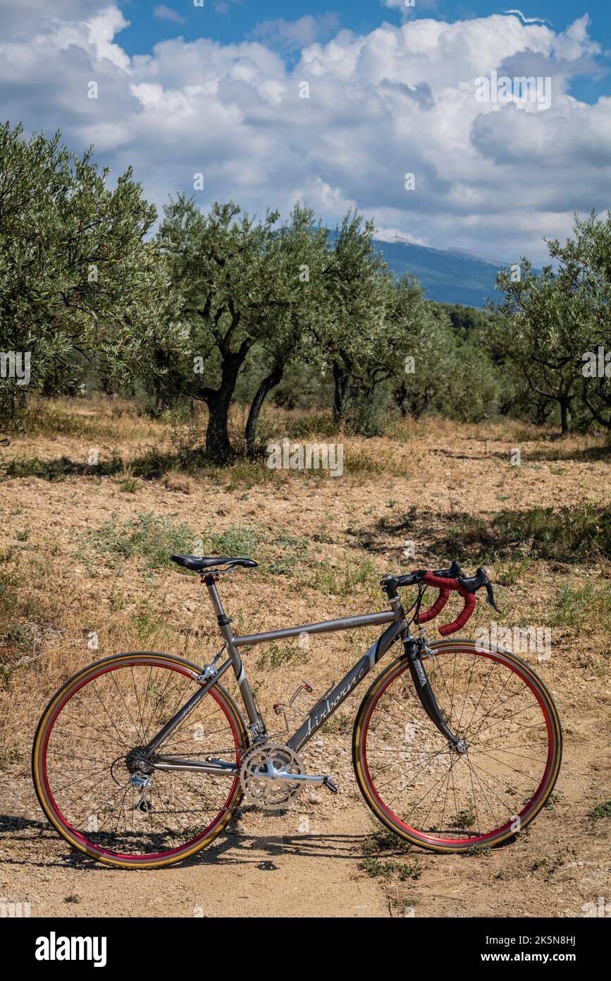 Poulie et cage surdimensionnées cycle de route titane céramique pour
