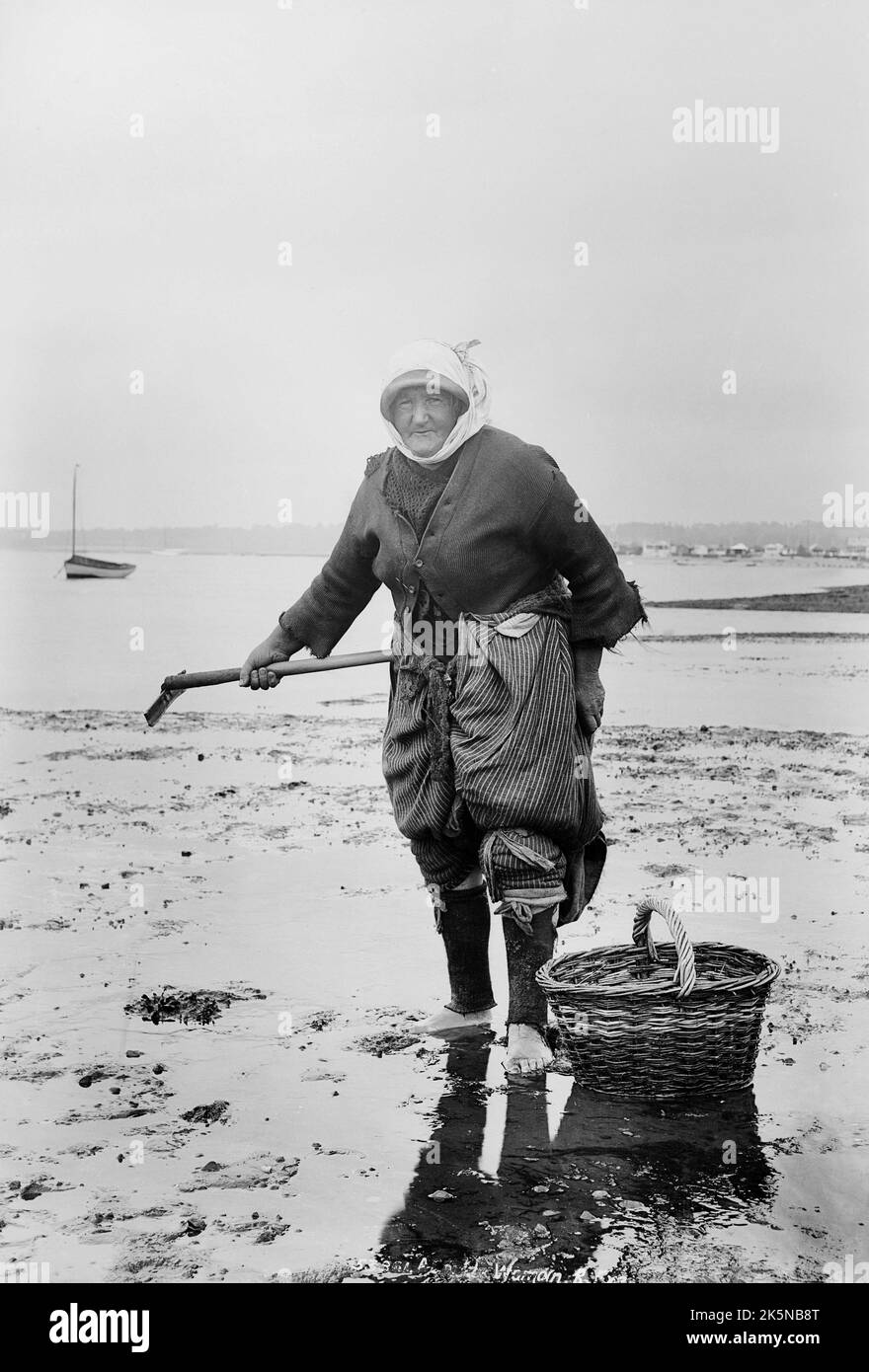 Francis Frith - Cockle Woman, Exmouth, Devon, Angleterre Banque D'Images