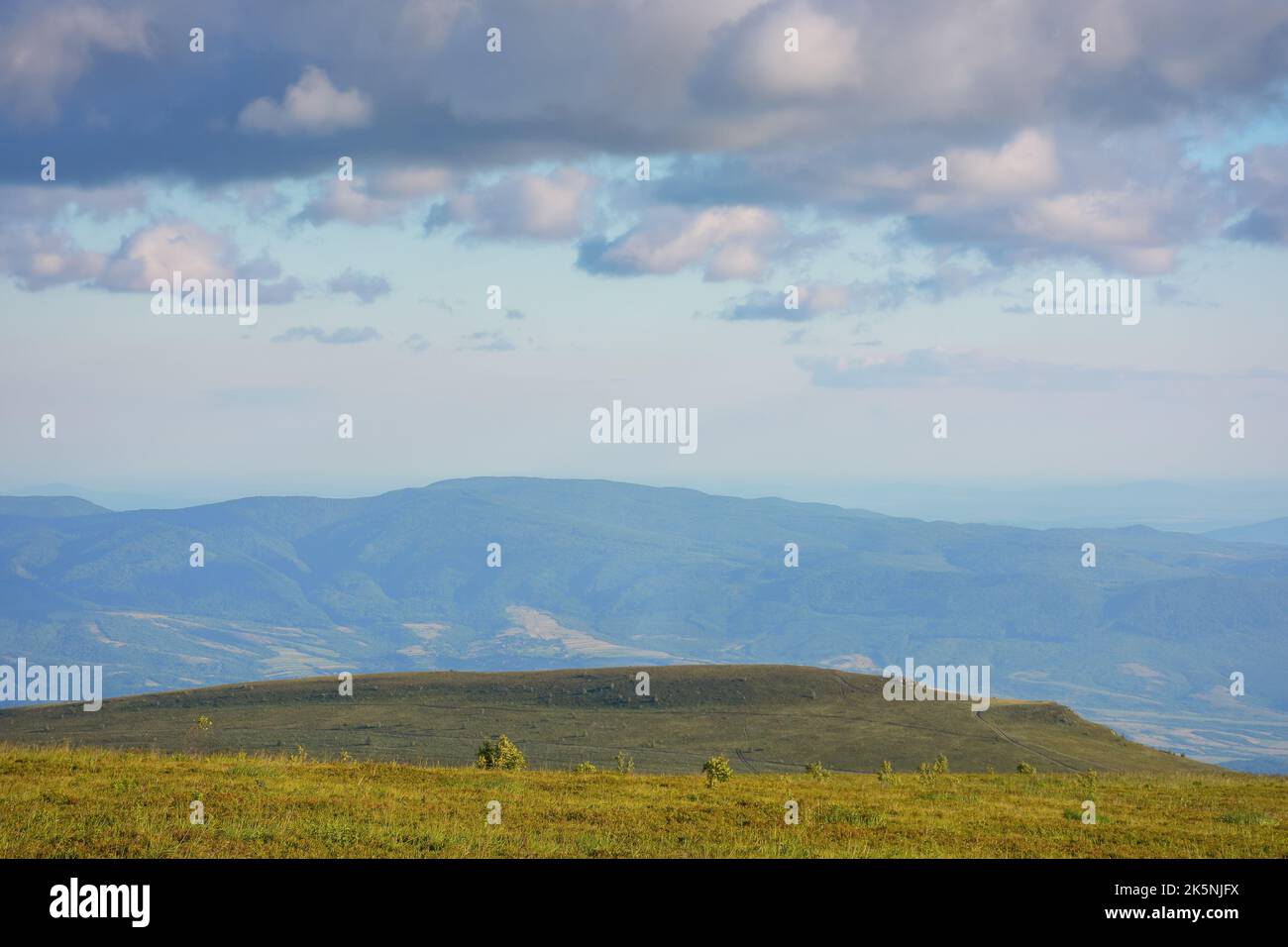 prés alpins de la montagne runa. paysage de campagne magnifique de trascarpathia dans la lumière du soir. colline roulant au loin. vallée de beneat Banque D'Images
