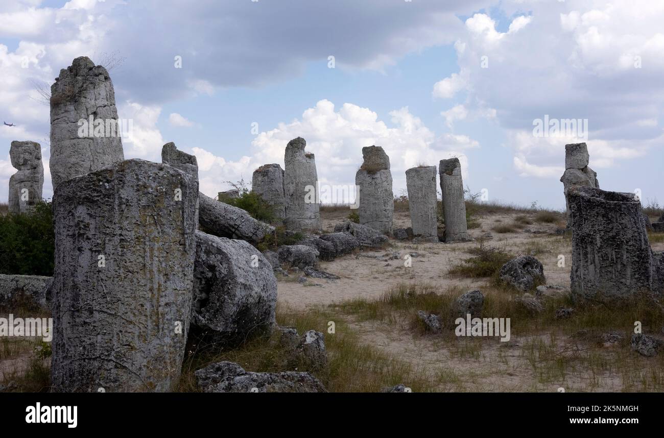 Formation de Pobiti Kamani en Bulgarie, phénomène de roche semblable au désert situé dans le nord-ouest de la province de Varna Banque D'Images