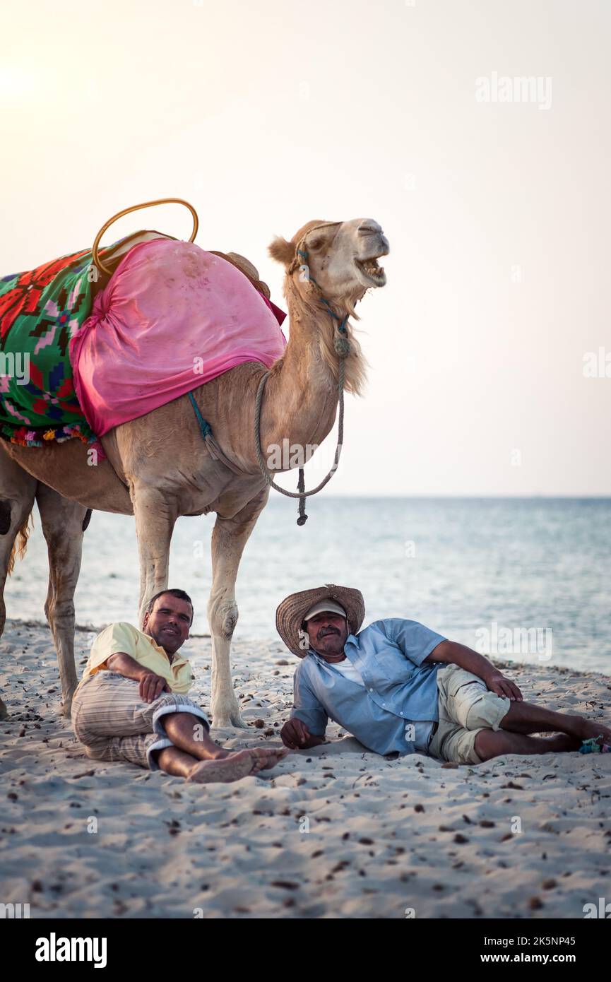 Propriétaire de chameau sur la côte tunisienne avec son chameau, gros plan Banque D'Images