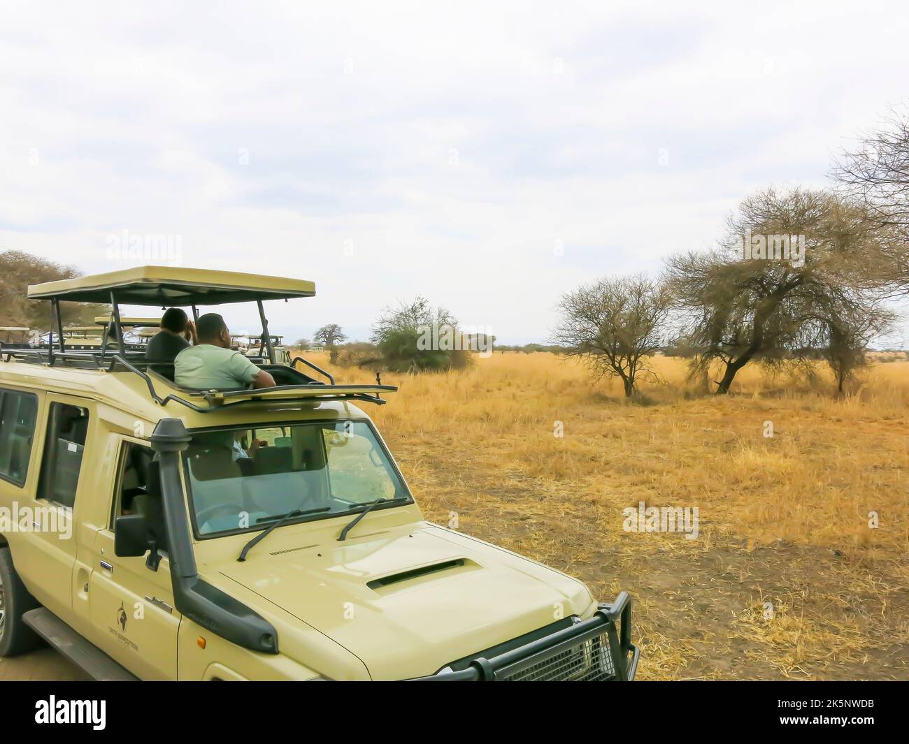 Les véhicules Safari sont positionnés pour offrir une meilleure visibilité de l'animal sauvage Banque D'Images