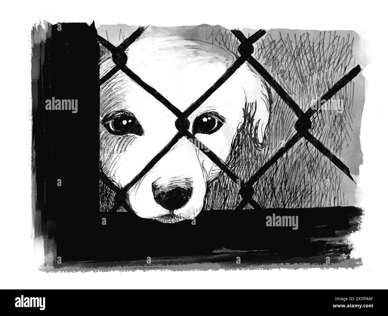 Chien dans l'abri. Illustration main en noir et blanc. Chien blanc qui regarde malheureusement à travers le filet. Mutant sans-abri Portrait d'un chien derrière une clôture. Banque D'Images