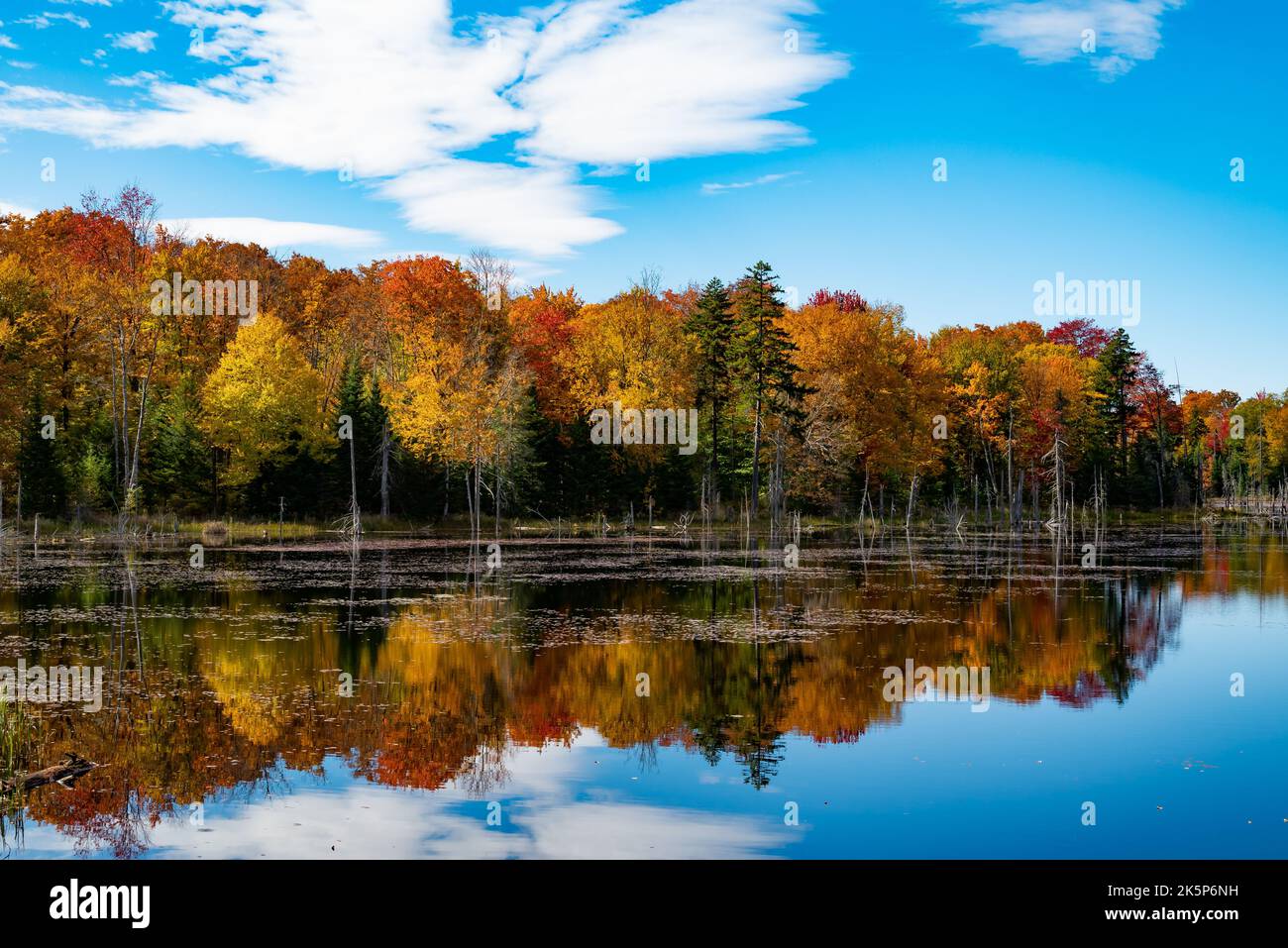 Un étang dans les montagnes Adirondack, NY USA avec feuillage d'automne coloré, ciel bleu et nuages blancs reflétés dans l'eau calme. Banque D'Images