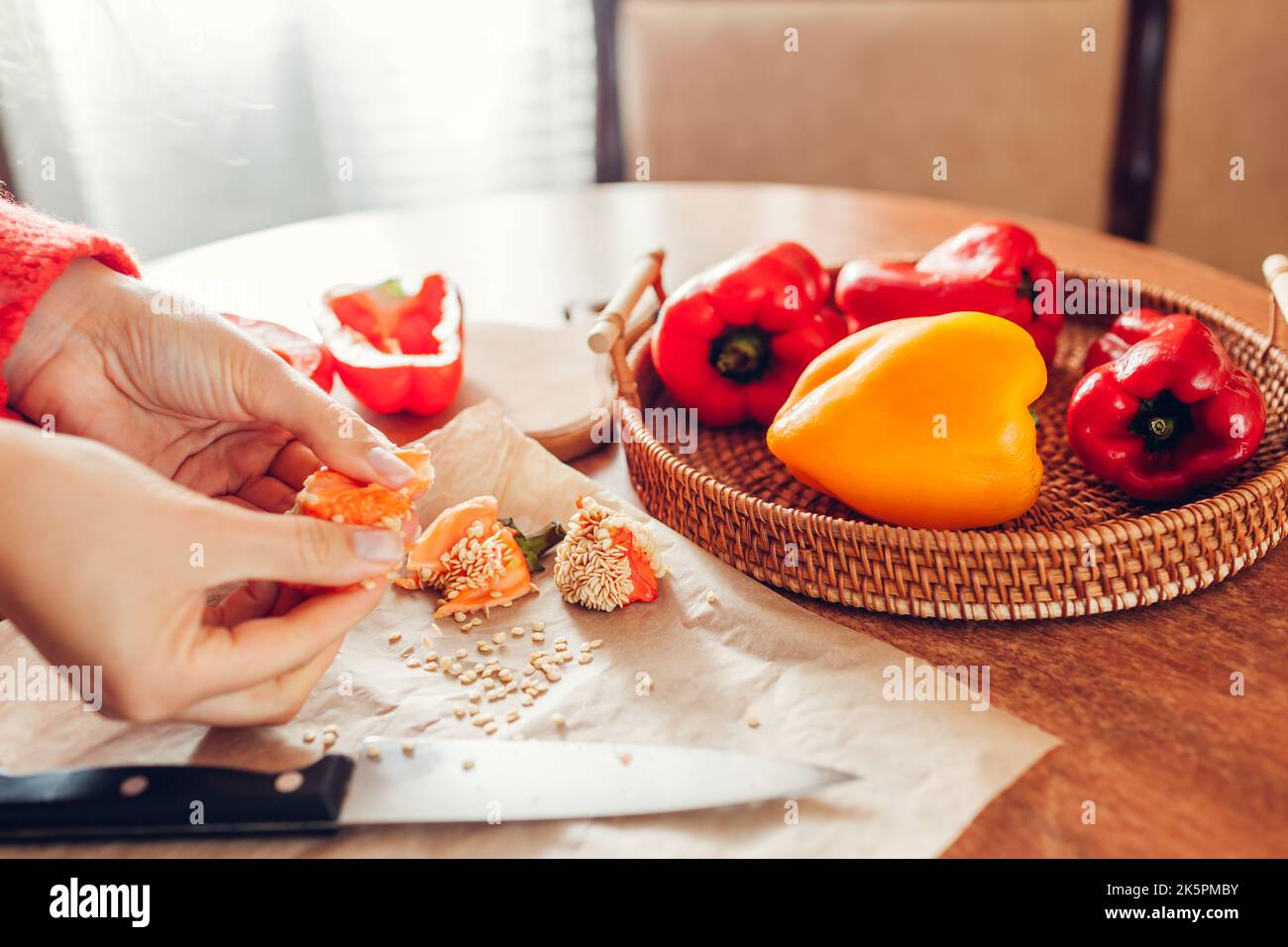 Collecte de graines de poivrons doux à la maison. La femme cueille des graines de légumes biologiques mûrs pour cultiver des aliments sains Banque D'Images