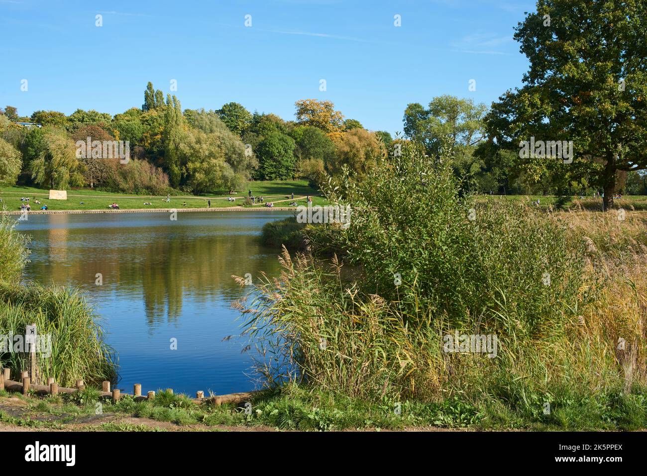 Le Highgate Model Boating Pond de Hampstead Heath, dans le nord de Londres, au début de l'automne Banque D'Images