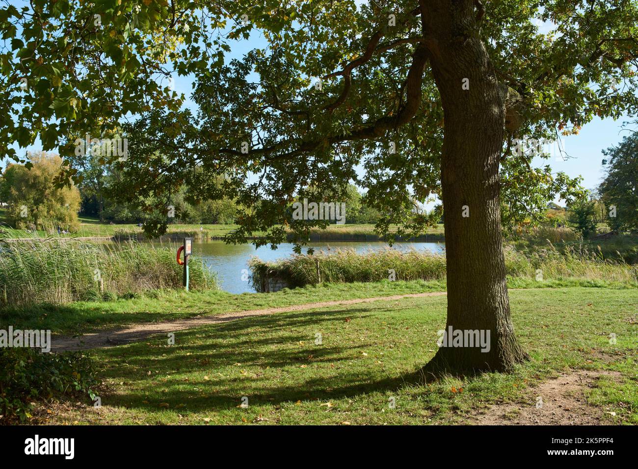 Hampstead Heath au début de l'automne, dans le nord de Londres, au Royaume-Uni, avec le Highgate Model Boating Pond en arrière-plan Banque D'Images