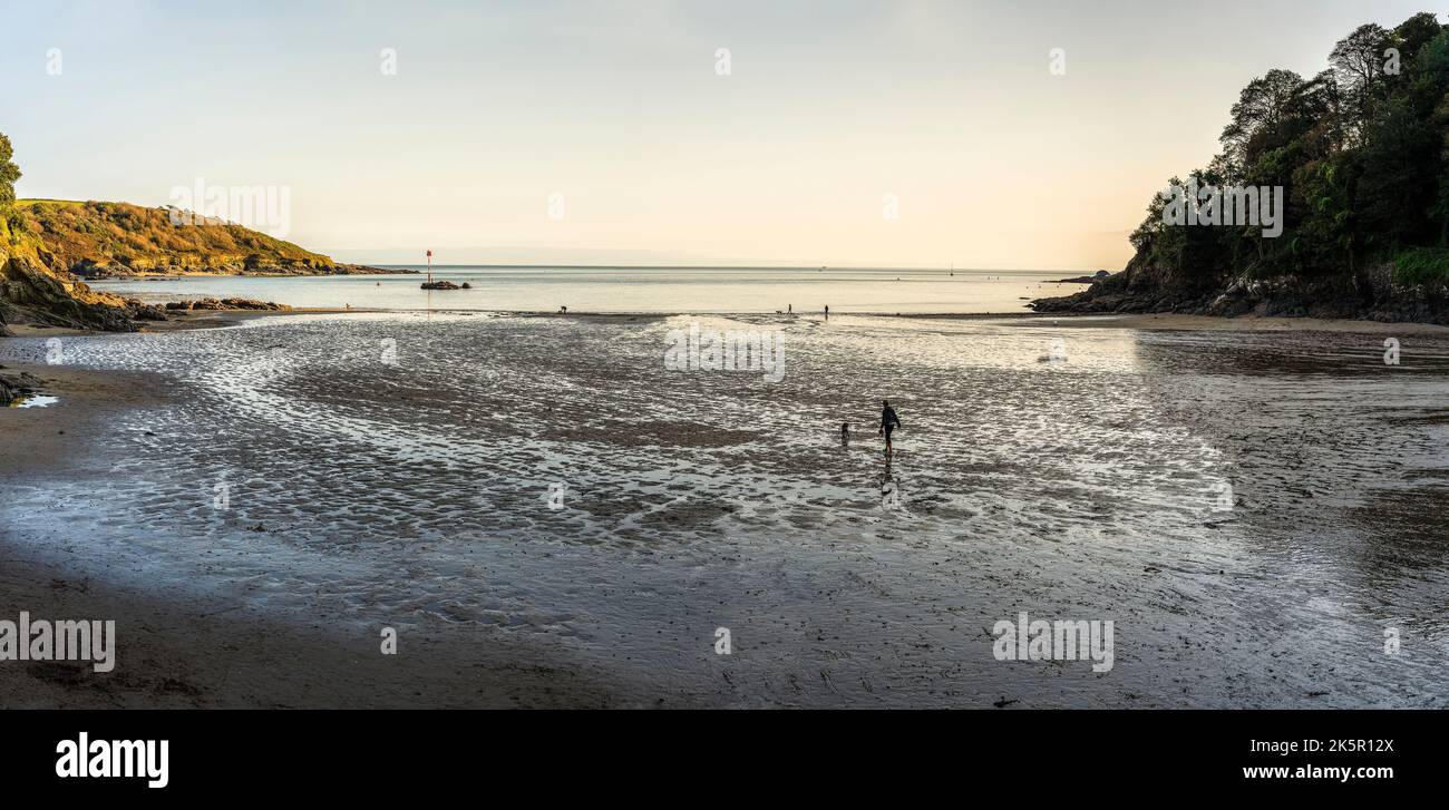 Salcombe North Bay, Sandy Beach, tidal Bay, marcher le chien, l'une des zones les plus recherchées et les plus chères du Royaume-Uni une deuxième maison macca. Automne, automne, Banque D'Images