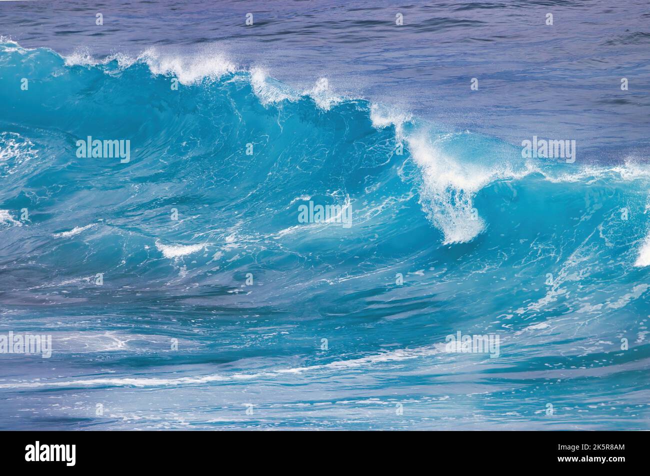 Belle rupture de la vague d'aquqamarine se brisant sur la rive nord de Maui. Banque D'Images