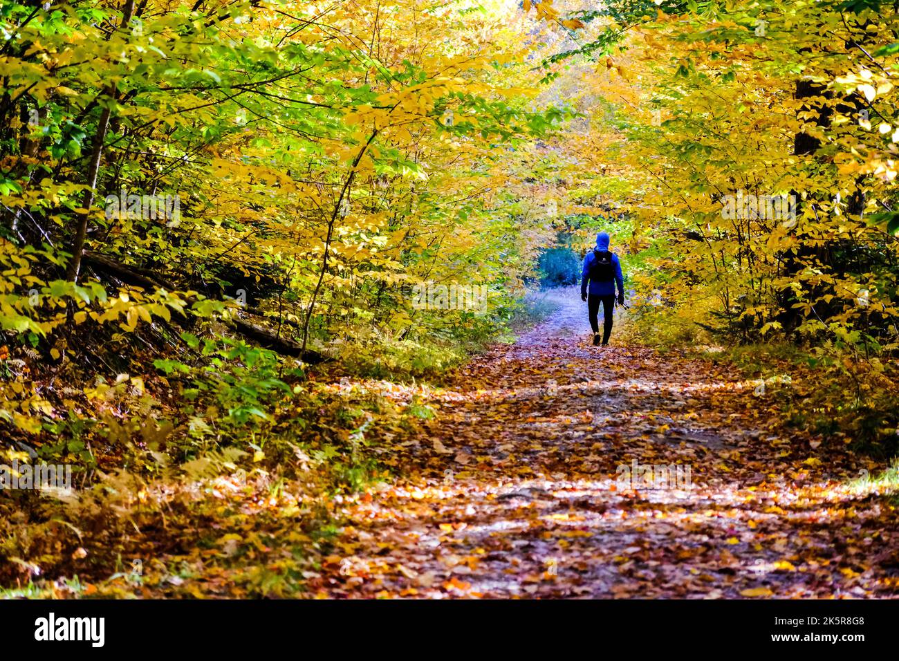 Les couleurs vives du feuillage d'automne entourent White Rock Mountain à Middlesex, Vermont, Nouvelle-Angleterre, États-Unis. Banque D'Images