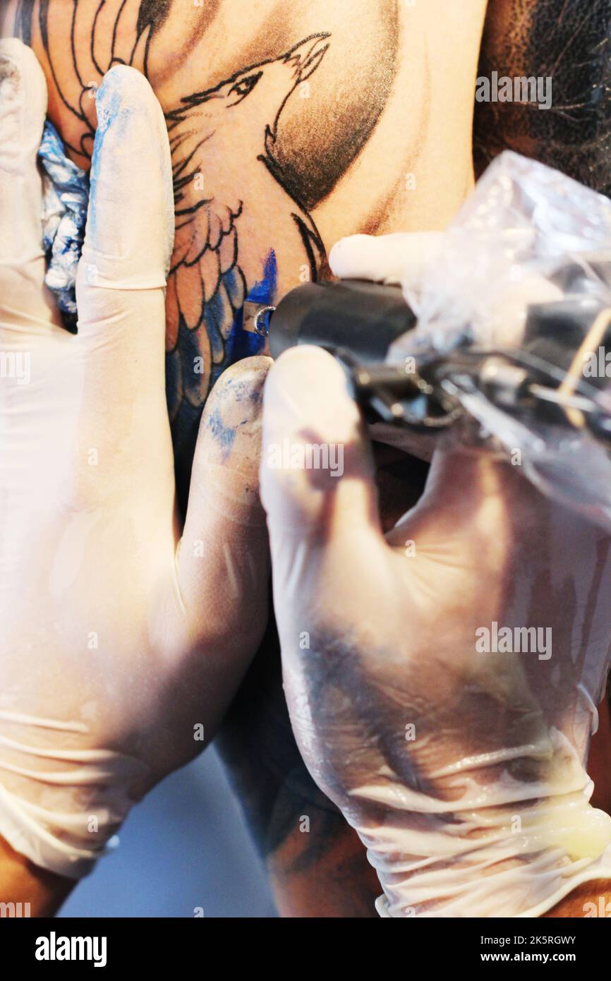 Décoration dermique. Tatouage artiste occupé à remplir les contours d'un oiseau avec l'encre bleue sur un bras de client. Banque D'Images