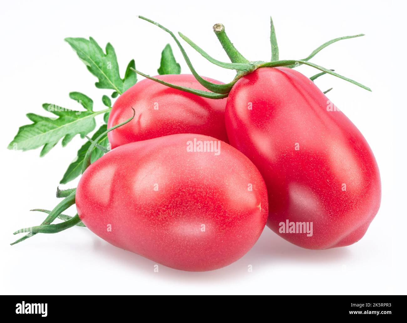 Trois tomates roses (prunes) avec des feuilles de tomate isolées sur fond blanc. Banque D'Images