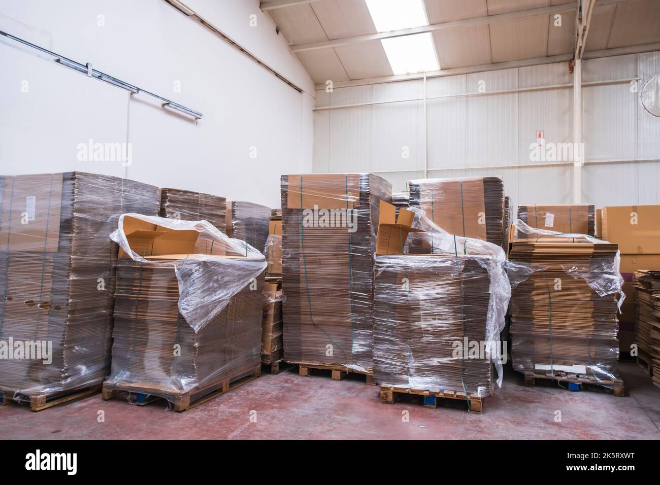 Grand entrepôt de détail avec des marchandises dans des boîtes en carton et des emballages. Une installation de logistique, de tri et de distribution pour plus de livraison de produits. Vue avant Banque D'Images