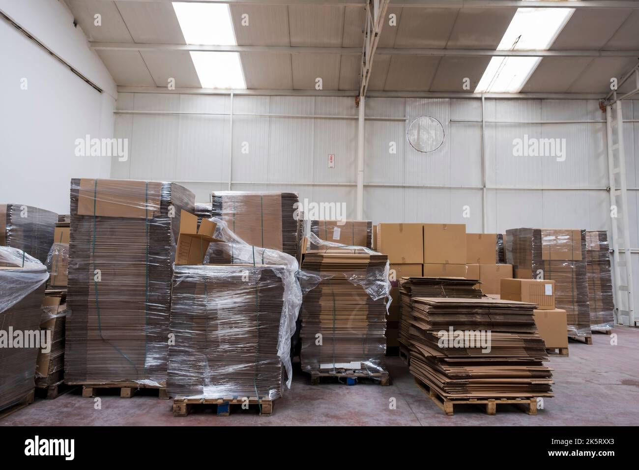 Grand entrepôt de détail avec des marchandises dans des boîtes en carton et des emballages. Une installation de logistique, de tri et de distribution pour plus de livraison de produits. Vue avant Banque D'Images